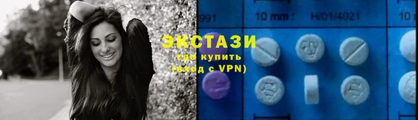 прущие грибы Белокуриха