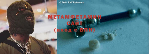 прущие грибы Белокуриха