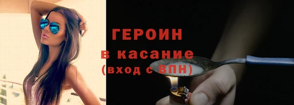 прущие грибы Белокуриха