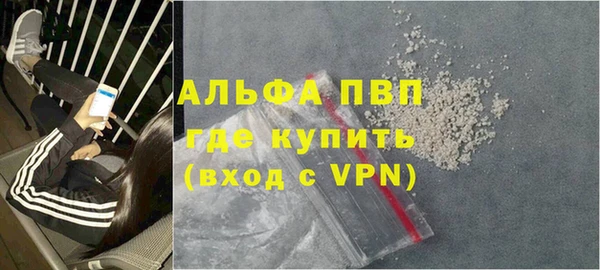 прущие грибы Белокуриха