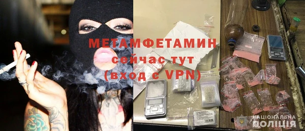 прущие грибы Белокуриха
