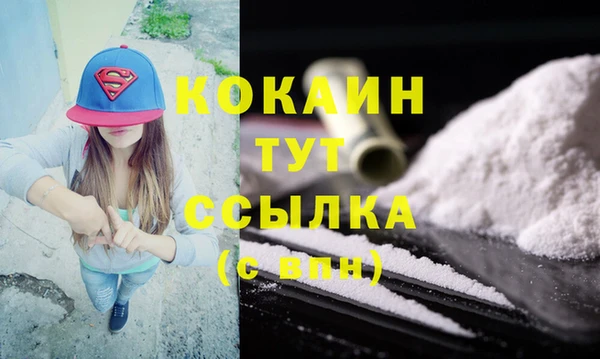 прущие грибы Белокуриха