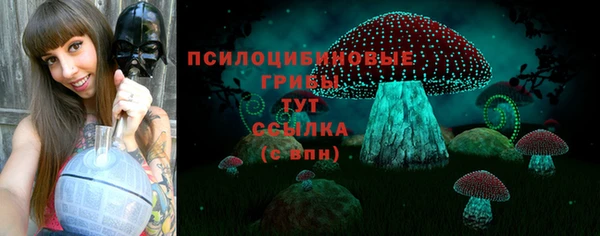 прущие грибы Белокуриха