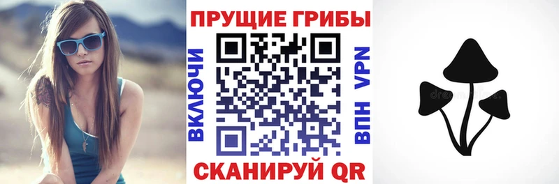 Галлюциногенные грибы Psilocybine cubensis  Минеральные Воды 