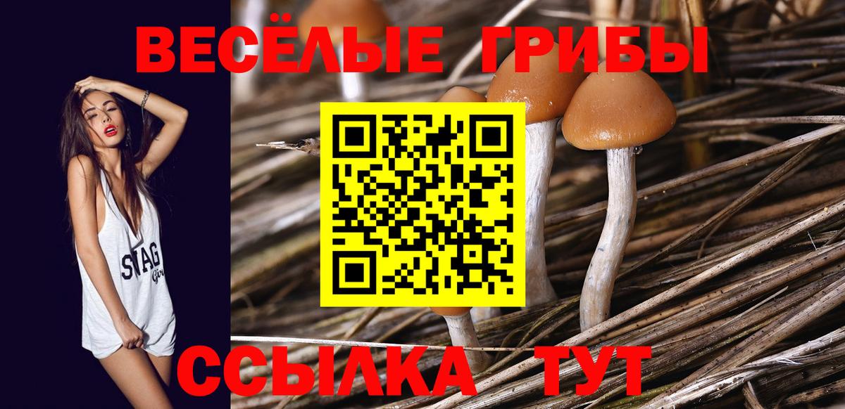 Галлюциногенные грибы Psilocybine cubensis  Вход с VPN  Минеральные Воды 