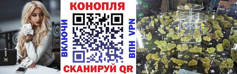 Шишки марихуана Amnesia  Минеральные Воды 