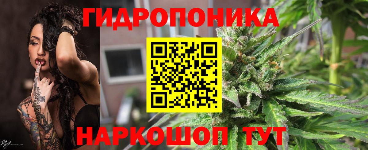 Канабис Ganja Минеральные Воды